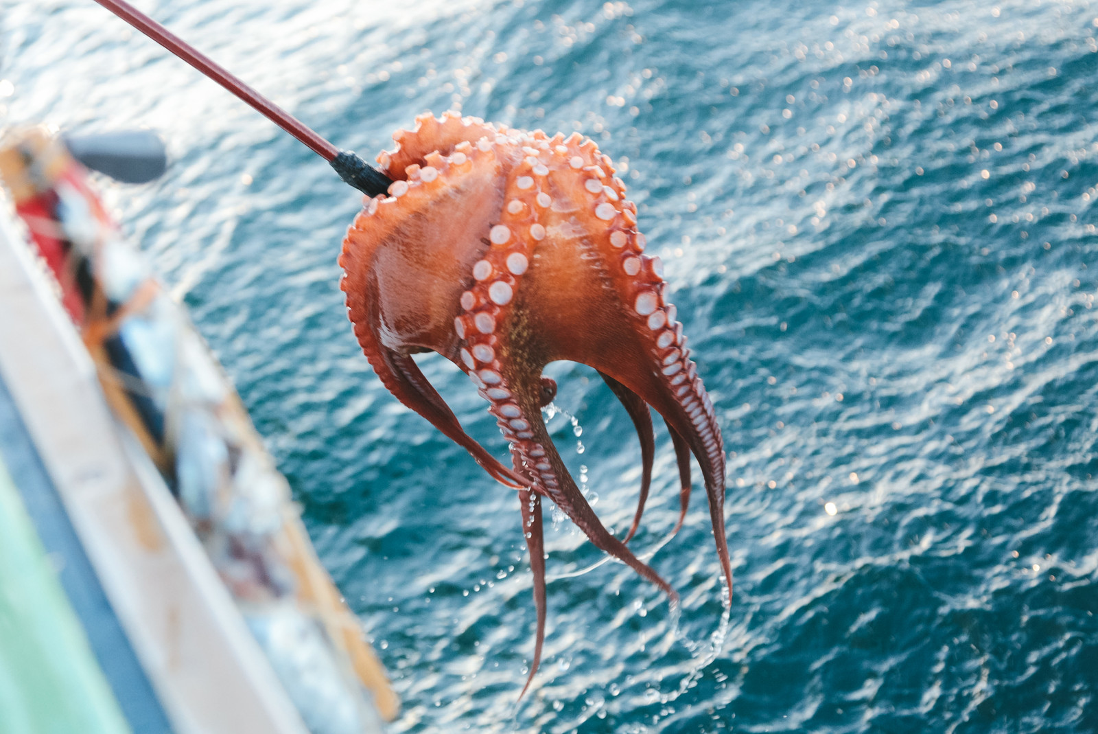 釣りガールでの出会いにおすすめの方法はコレ!魚釣りに一緒に行ける<a href="/sitteku/love-log/1399" class="text-inside-link" target="_blank">彼女を作るコツ</a>