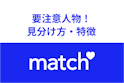 Match（マッチドットコム）