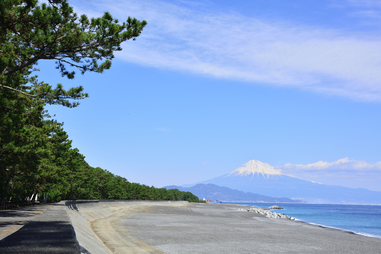 静岡県でおすすめのマッチングアプリ7選！婚活・恋活・出会いにつながる上手な選び方