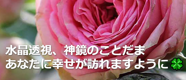 地域の占い⑧占い館スイート
