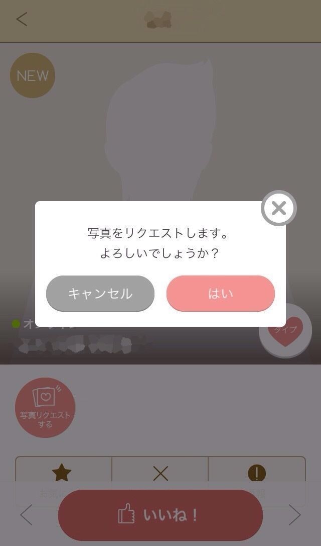 マリッシュ 相手のプロフィール画面から写真リクエストを送る