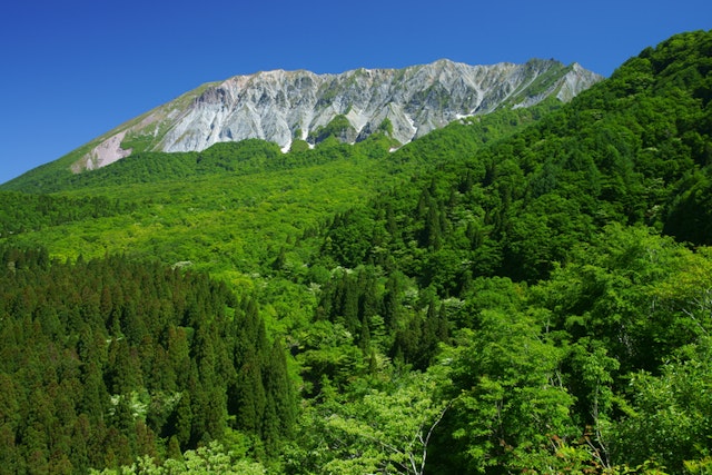 マッチングアプリ 鳥取県でおすすめの出会い系マッチングアプリ7選