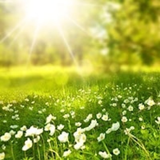 映満（えま）先生